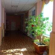 donetsk_national_medical_university_dnmu_kirovohrad_16_20170227_1572396371